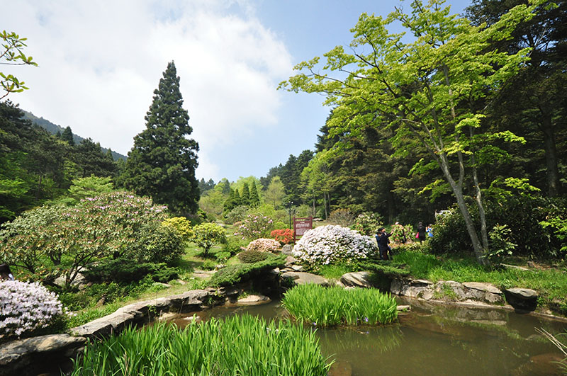 鄉(xiāng)土灌木園