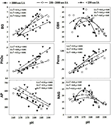 Soil aggregate size distribution mediates microbial responses to prolonged acid deposition in a subtropical forest in south China